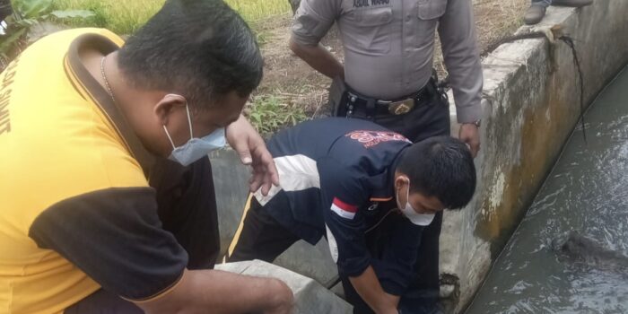 Petani di Padangsidimpuan Temukan Orok Bayi Tersangkut Ranting Kayu di Parit