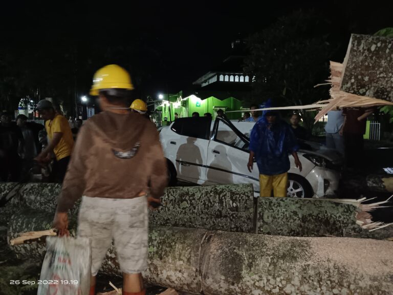 Pohon Besar Tumbang Timpa 3 Mobil di Parkiran RS Adam Malik