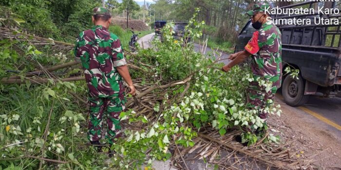 Pohon Tumbang Hambat Jalan, Babinsa Koramil 06/MT Bersama Warga Lakukan Pembersihan