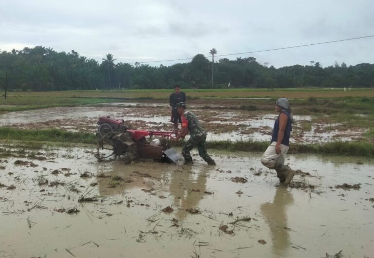 Babinsa 14/Rtp Bantu Petani Garap Sawah