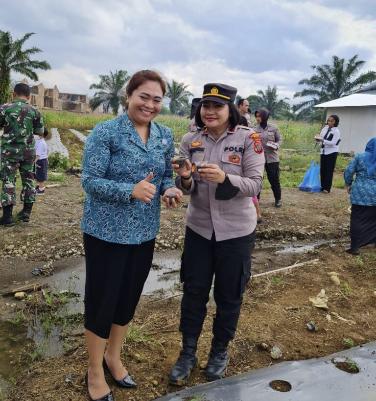 Kendalikan Inflasi, Polsek Medan Tuntungan Tanam Cabai