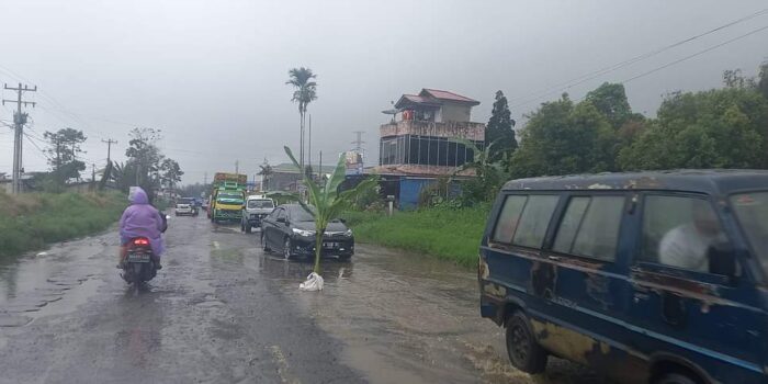 Kesal Dengan Kondisi Jalan, Warga Tanam Pohon Pisang di Jalan Jamin Ginting Desa Raya