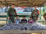 Satgas Pamtas Yonif 132/BS Berhasil Amankan 5,4 Kilogram Ganja di Perbatasan RI-PNG