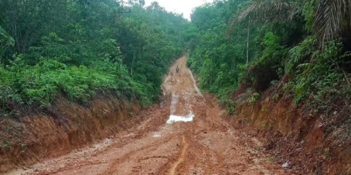 Faizal: Rp.6 Miliar Dialokasikan untuk Perawatan Jalan dan Jembatan di Kuansing Tahun 2023