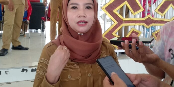 Fasilitas Gratis! Puskesmas di Kabupaten Mamuju Sediakan Rumah Tunggu Kelahiran untuk Ibu Hamil