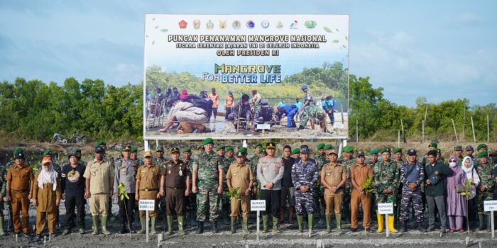 Bupati Asahan Ikuti Penanaman Mangrove Nasional