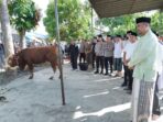 Rayakan Idul Adha 1444 H, Pemko Medan Sembelih 104 Hewan Kurban