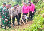 Selamatkan Paru – Paru Dunia, TNI Polri Adakan Penghijauan Di Hutan Kabupaten Karo