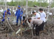 Polda Sumut dan Pemprov Tanam 10 Ribu Pohon Mangrove di Pesisir Langkat