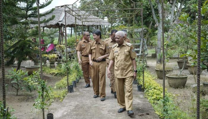 TP PKK Kabupaten Asahan Revitalisasi Taman Toga Rambate Rata Raya