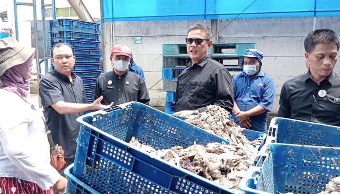 Bau Menyengat, Pabrik Tepung Ikan di Indramayu Dihentikan