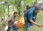 Geger ! Penemuan Mayat Gantung Diri di Sungai Belawan Namo Gajah