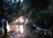 Hujan Lebat Picu Tanah Longsor di Tanah Datar, Bupati Apresiasi Kesigapan Petugas dan Masyarakat