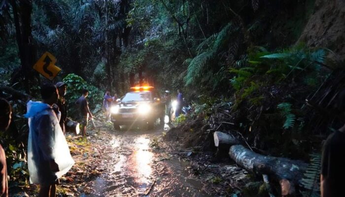 Hujan Lebat Picu Tanah Longsor di Tanah Datar, Bupati Apresiasi Kesigapan Petugas dan Masyarakat