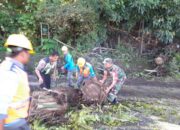 Kisah Sigap Babinsa: Evakuasi Pohon Tumbang di Simalungun, Warga Berterima Kasih