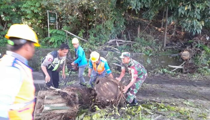 Kisah Sigap Babinsa: Evakuasi Pohon Tumbang di Simalungun, Warga Berterima Kasih