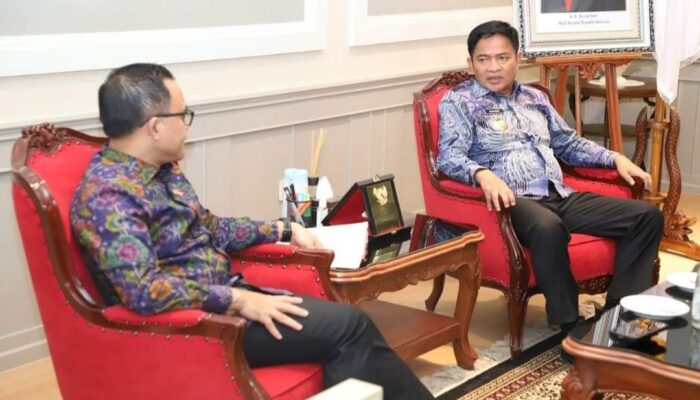 Pj Gubernur Sumut Bahas Penguatan Reformasi Birokrasi dengan Menpan-RB