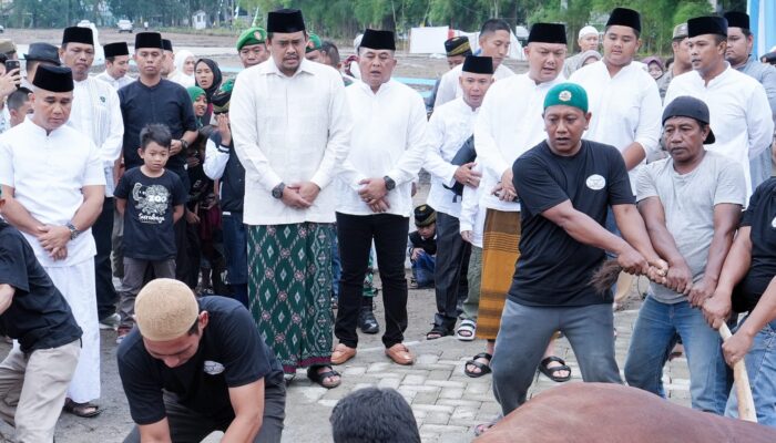 Wali Kota Medan dan Keluarga Berkurban Satu Ekor Sapi di Komplek Tasbi I