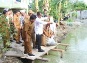 Bupati Sergai Serahkan Bantuan Benih Ikan di Desa Pematang Sijonam