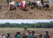 Penjabat Bupati Simeulue Kunjungi Desa Mutiara, Serahkan Bantuan untuk Petani