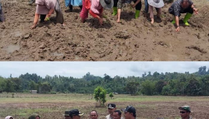 Penjabat Bupati Simeulue Kunjungi Desa Mutiara, Serahkan Bantuan untuk Petani