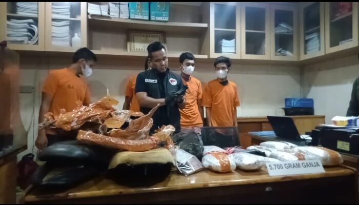 Polrestabes Medan dan Kodim 02/01 Berhasil Bongkar Sindikat Narkoba, 5,7 Kg Ganja Diamankan