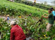 Laksanakan Gotong Royong, Camat Indra Adiguna Fokus Bersihkan Aliran Sungai di Wilayah Kecamatan Datuk Bandar Timur