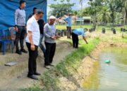 Rutan Tanjung Pura Tebar 2.000 Ekor Bibit Ikan Nila Kolam Ketahanan Pangan