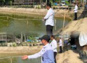 Rutan Tanjung Pura Optimalkan Lahan Ketapang dan Brandgang, Dukung Swasembada Pangan Nasional