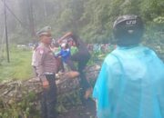 Pohon Tumbang Tutup Total Jalan Medan-Kabanjahe, Lalu Lintas Kembali Normal