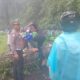 Pohon Tumbang Tutup Total Jalan Medan-Kabanjahe, Lalu Lintas Kembali Normal