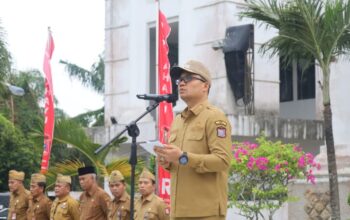 Pimpin Apel Pemerintahan, Wakil Wali Kota Tanjungbalai Ingatkan Disiplim, Sinergi dan Pelayanan Optimal ASN Bekerja Dukung Visi Tanjungbalai EMAS