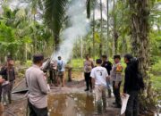 Polsek Kualuh Leidong Gelar Operasi Sarang Narkoba, Pondok Kosong Dimusnahkan