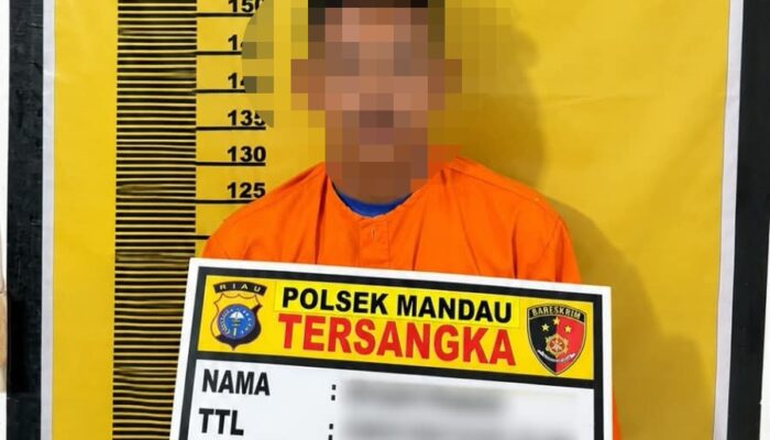 Polisi Tangani Dugaan Kekerasan Seksual terhadap Anak di Mandau