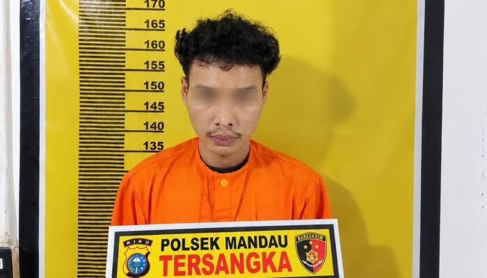 Polsek Mandau Amankan Pria Terkait Laporan Dugaan Kekerasan Seksual terhadap Anak